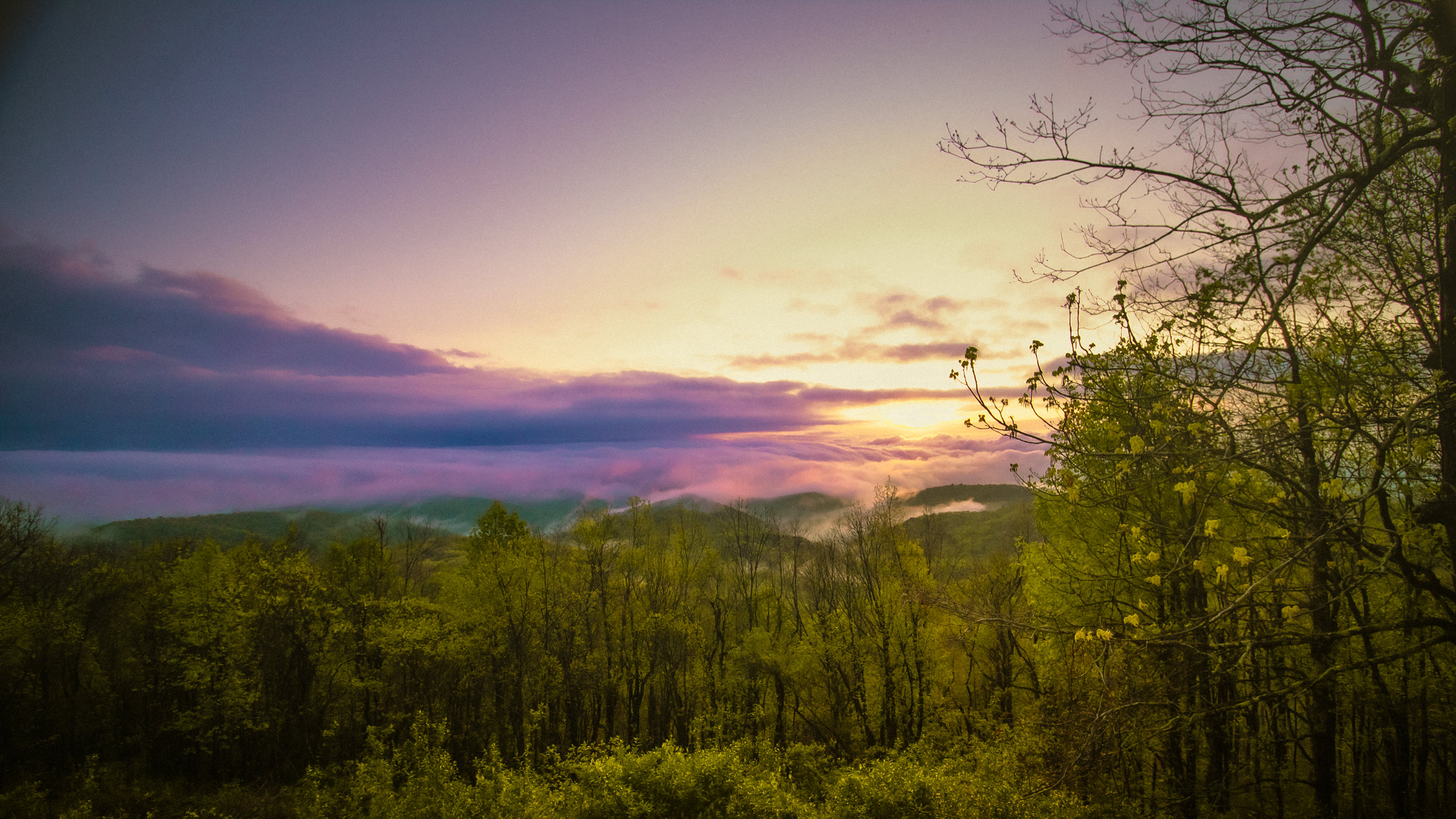 029 2025 04 26 spring mist and dawn light in blue ridge