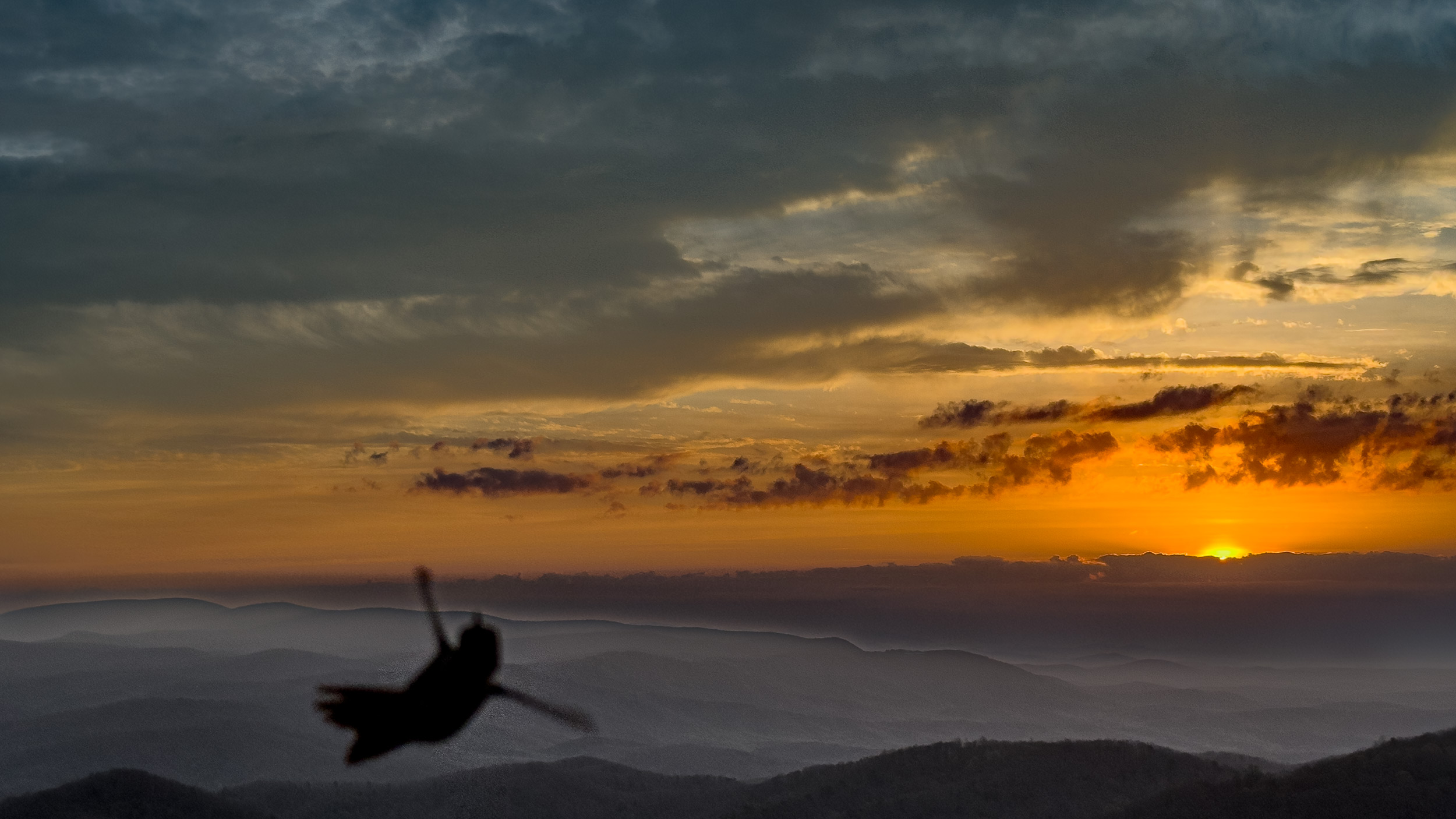 038 2026 04 03 hummingbird silhouette at mountain sunrise